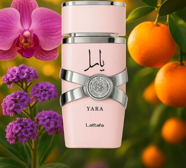 YARA ROSA LATTAFA - Imagen 5